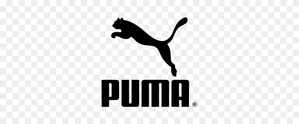 Puma, White Board, Lighting, Electronics, Screen Png