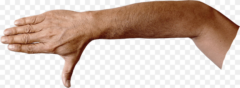 Puma, Body Part, Hand, Person, Wrist Free Png