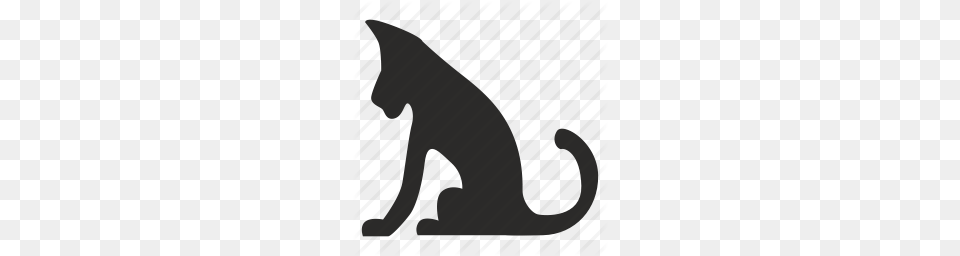 Puma Clipart Predator, Animal, Cat, Mammal, Pet Png Image