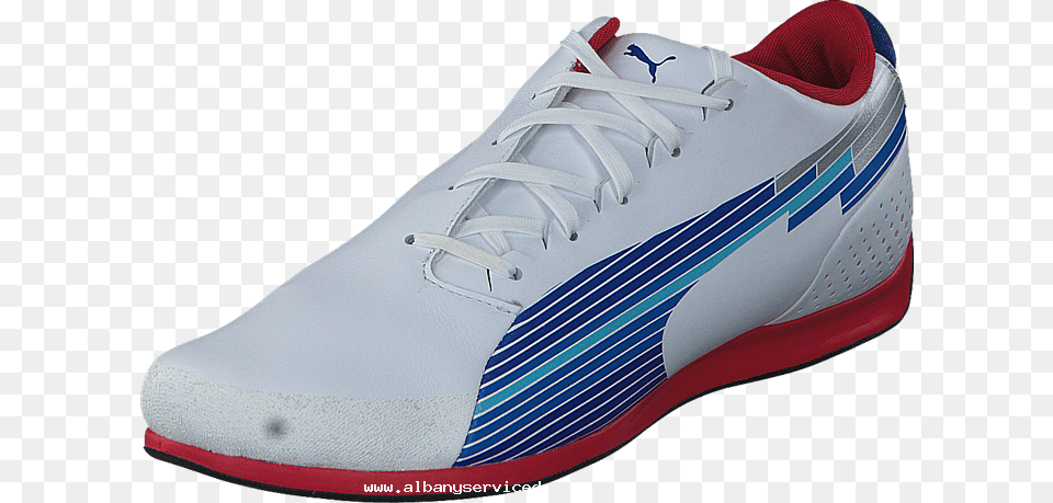 Puma Evospeed Low 00 Mens Leather Synthetic Shoe, Clothing, Footwear, Sneaker, Running Shoe Png Image