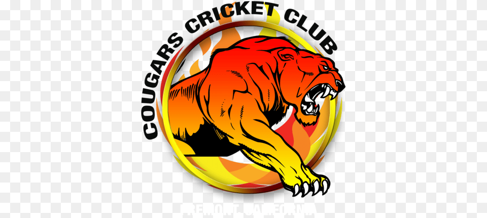 Puma Logo Clipart Cricket Siberian Tiger, Baby, Person, Animal, Lion Png Image
