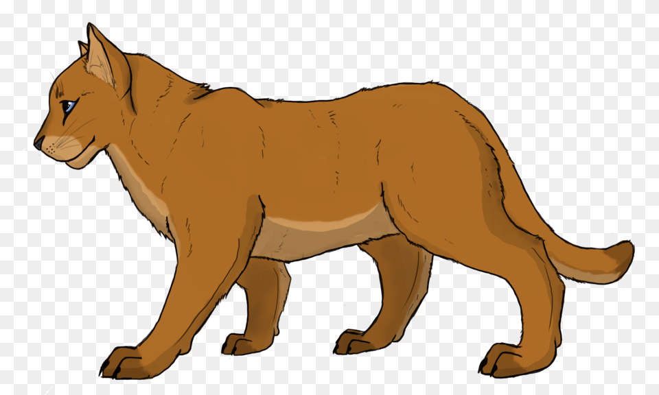 Puma Logo Clipart Orange, Animal, Lion, Mammal, Person Free Png Download