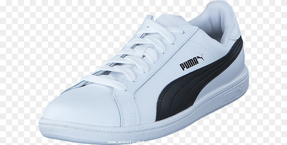 Puma Puma Smash L White 00 Womens Leather Synthetic Puma Smash L White, Clothing, Footwear, Shoe, Sneaker Free Png