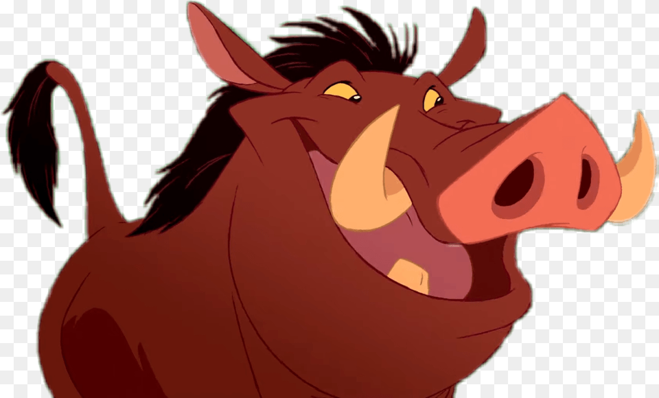 Pumba Pumbaa Reylen Sticker By Valentinaleona663 Cartoon, Person Free Transparent Png