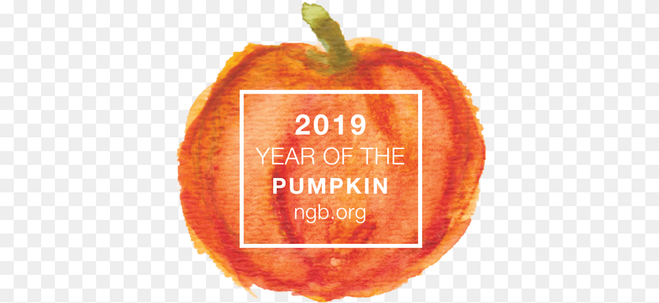 Pumkin, Food, Fruit, Plant, Produce Free Png