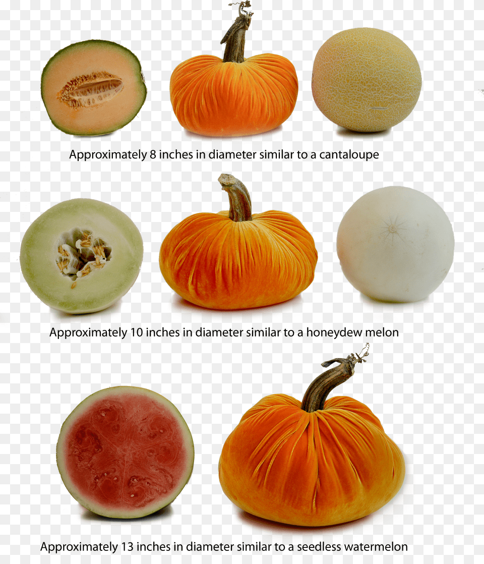 Pumkin Pumpkin Png