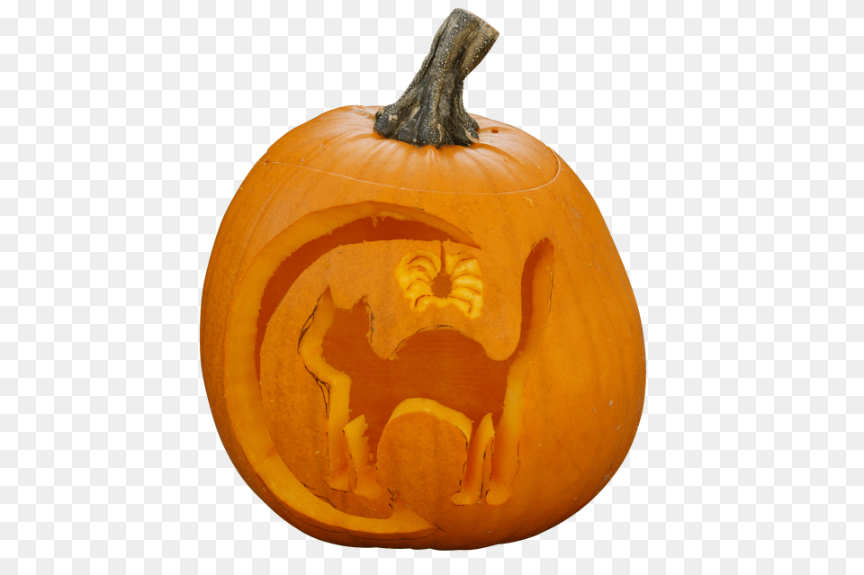 Pumpkin Clip Png Image