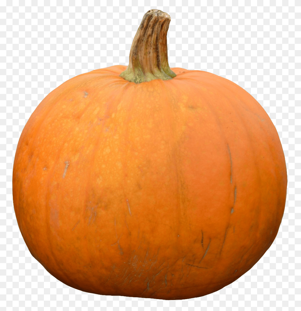 Pumpkin, Food, Plant, Produce, Vegetable Free Png