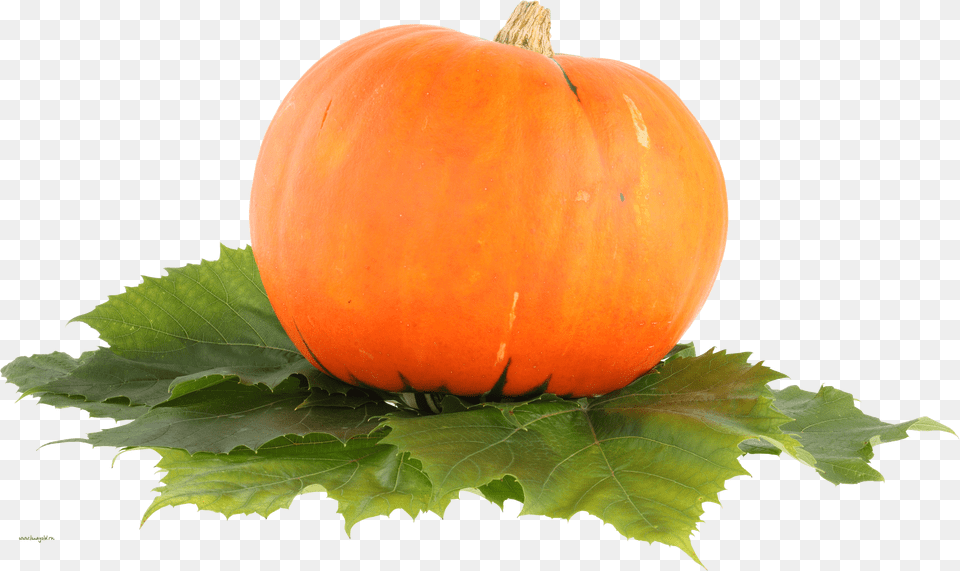 Pumpkin Free Transparent Png