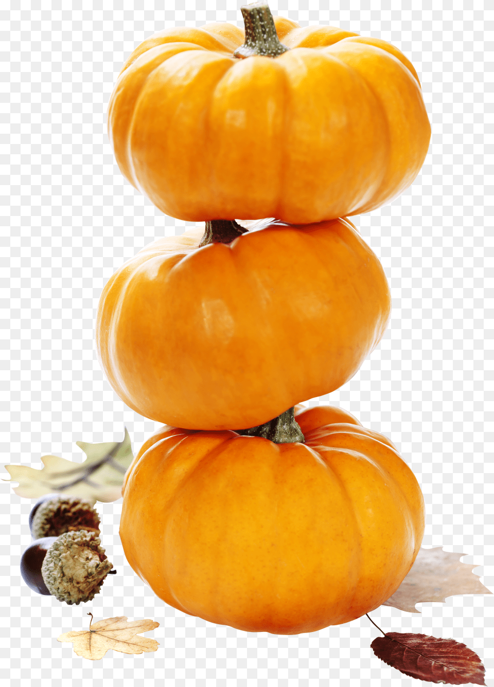 Pumpkin Png