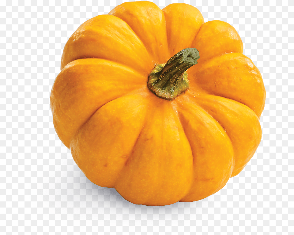 Pumpkin, Food, Plant, Produce, Vegetable Free Png