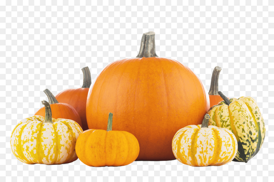 Pumpkin, Food, Plant, Produce, Vegetable Free Transparent Png