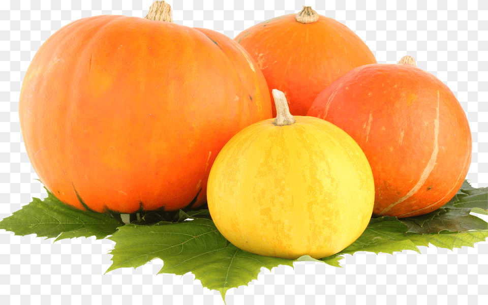 Pumpkin Free Png Download