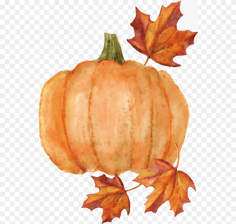 Pumpkin, Food, Leaf, Plant, Produce Free Png