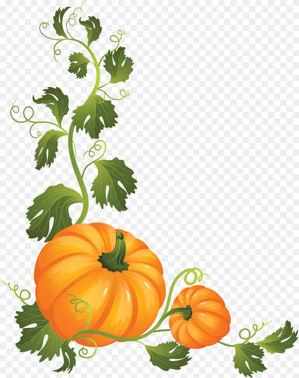 Pumpkin, Food, Plant, Produce, Vegetable Png Image