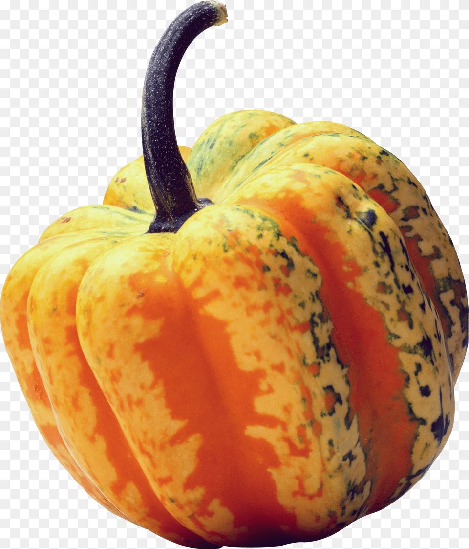 Pumpkin Free Png Download