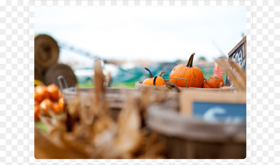 Pumpkin, Food, Plant, Produce, Squash Free Transparent Png