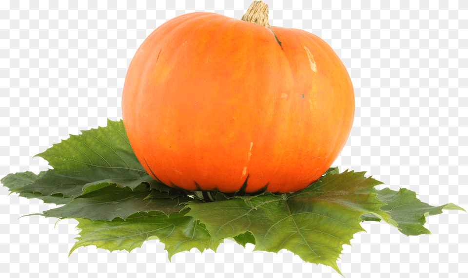 Pumpkin Free Transparent Png