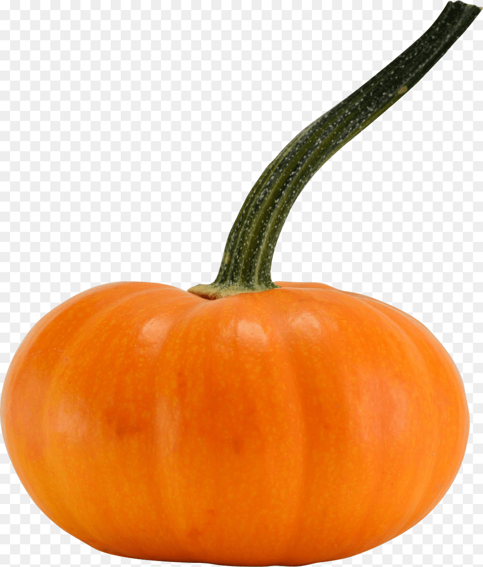 Pumpkin, Food, Plant, Produce, Vegetable Free Png