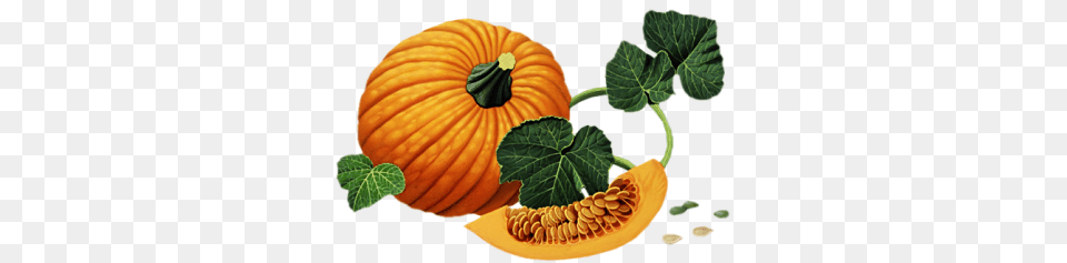 Pumpkin, Food, Plant, Produce, Vegetable Free Png