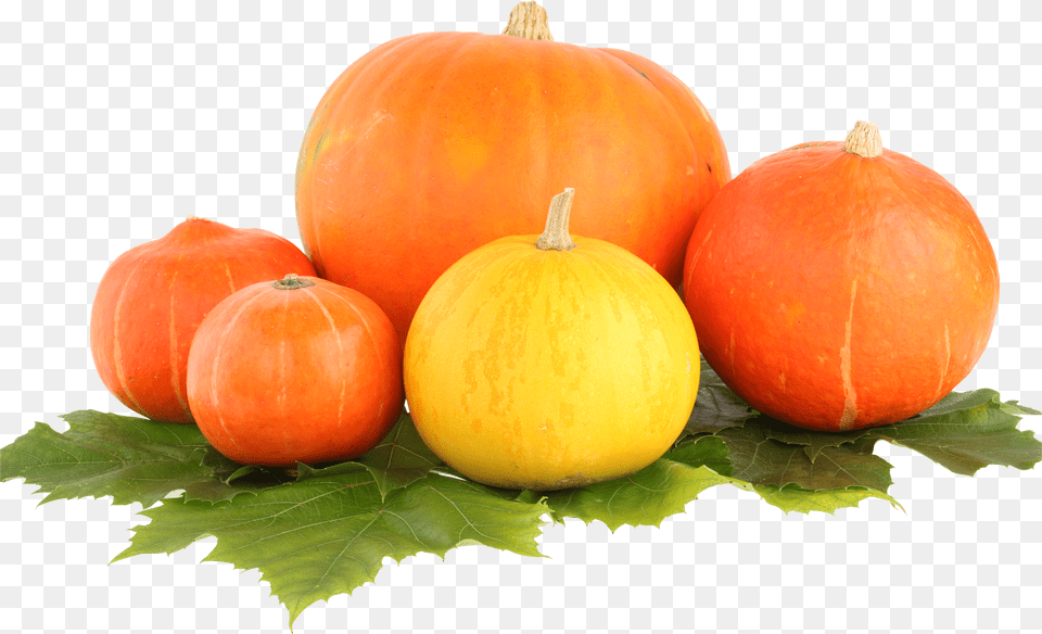 Pumpkin Png