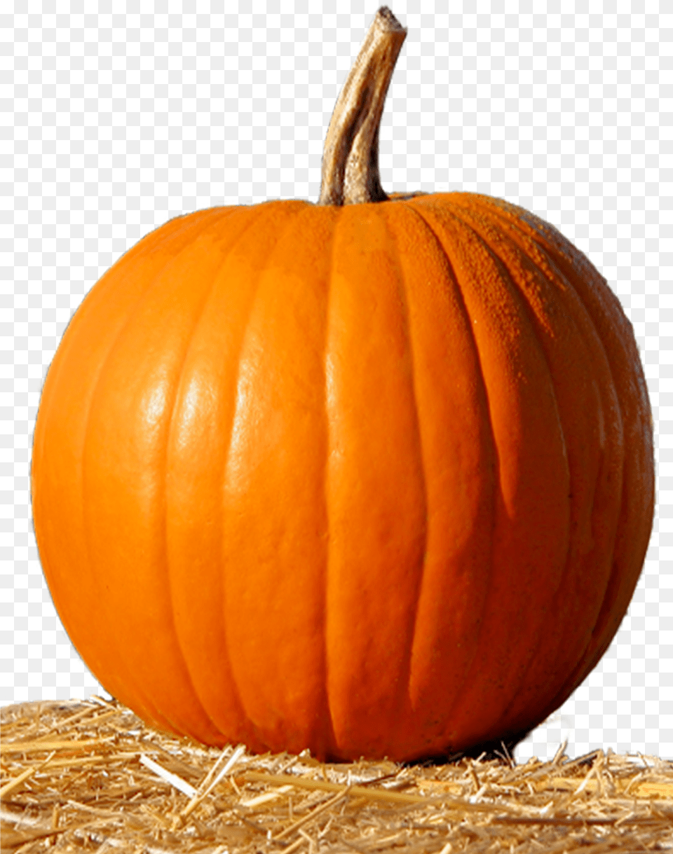 Pumpkin Free Png