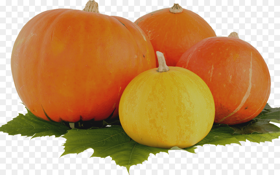 Pumpkin Food, Plant, Produce, Vegetable Free Transparent Png