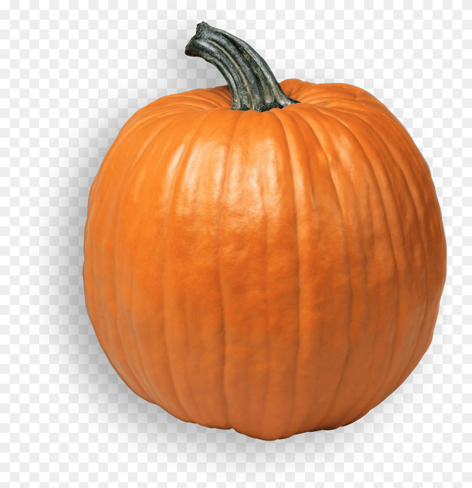 Pumpkin, Food, Plant, Produce, Vegetable Png Image