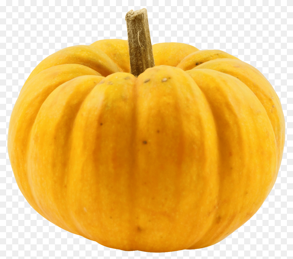 Pumpkin, Food, Plant, Produce, Vegetable Png