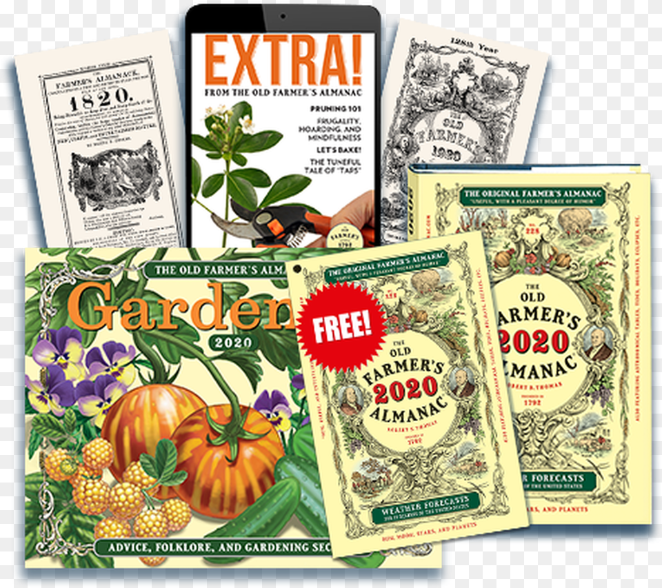 Pumpkin, Advertisement, Poster, Plant, Herbs Free Transparent Png
