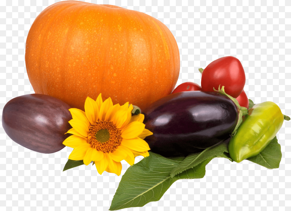 Pumpkin, Food, Produce, Flower, Plant Png