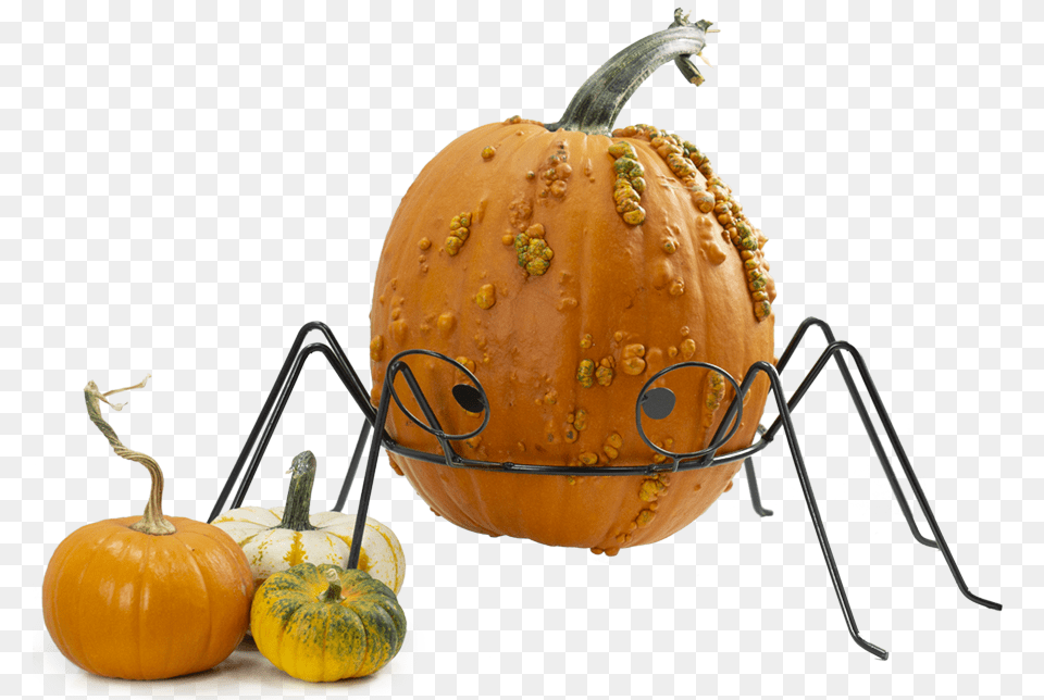 Pumpkin, Food, Plant, Produce, Vegetable Png Image