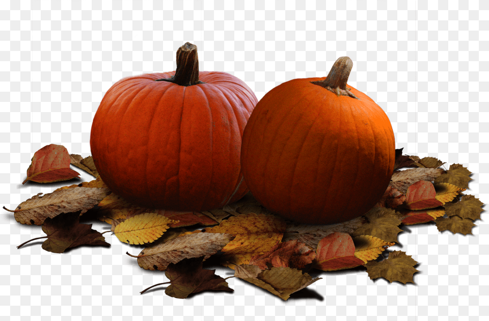 Pumpkin, Food, Plant, Produce, Squash Png Image