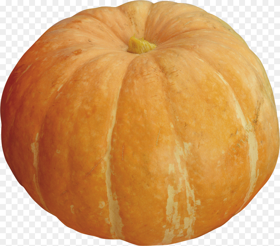 Pumpkin Png Image