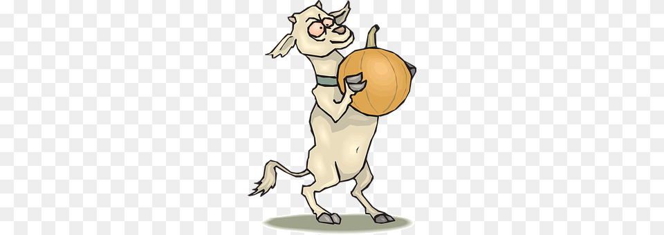 Pumpkin Free Png