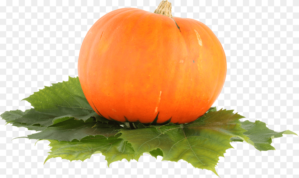 Pumpkin, Text, Credit Card Png