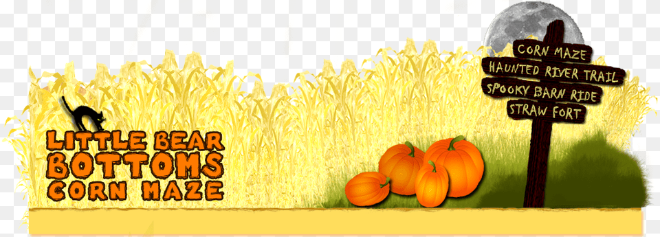 Pumpkin, Food, Plant, Produce, Vegetable Free Png