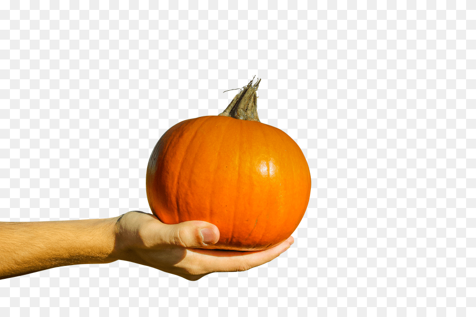 Pumpkin Clip Png Image