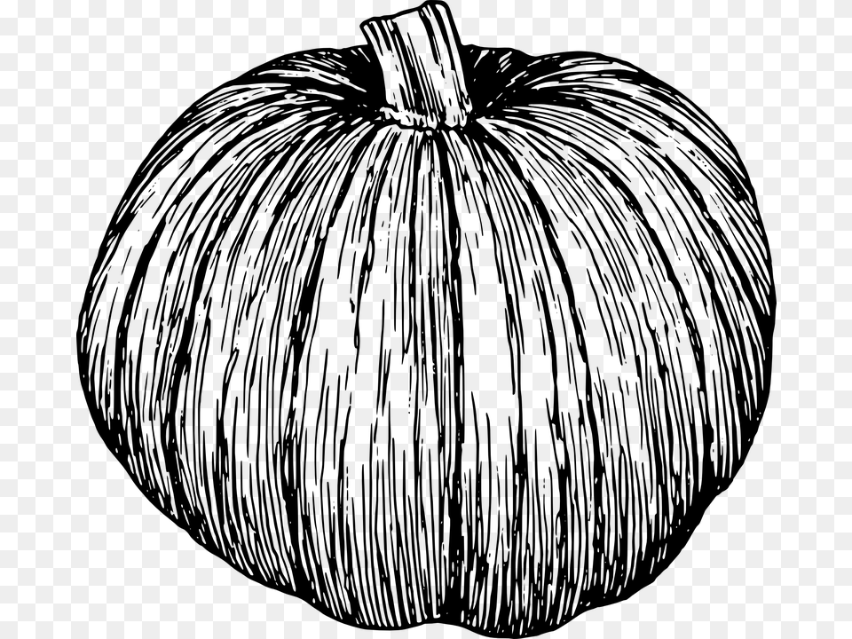 Pumpkin Black And White Transparent Background, Gray Free Png