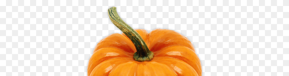 Pumpkin Carving Festival, Food, Plant, Produce, Vegetable Free Png Download