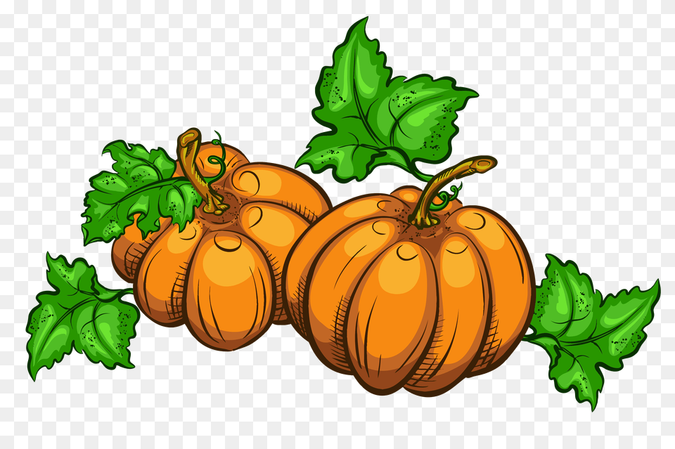 Pumpkin Clip Art Image Vegetable, Food, Produce, Plant Free Transparent Png