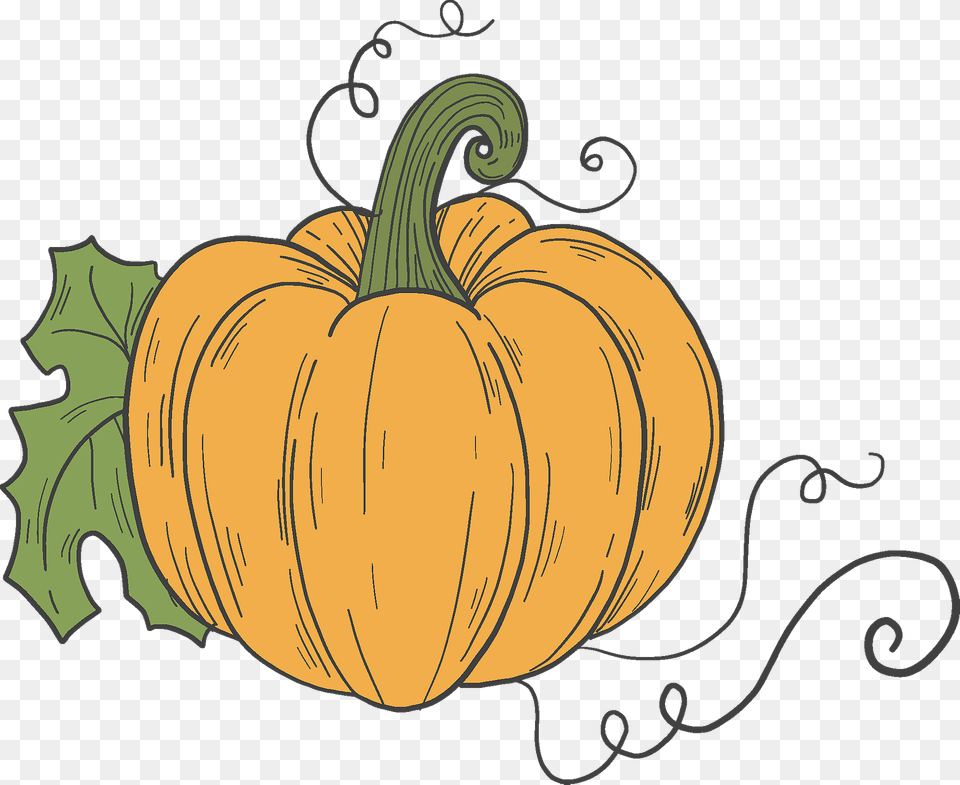 Pumpkin Clipart, Food, Plant, Produce, Vegetable Png Image