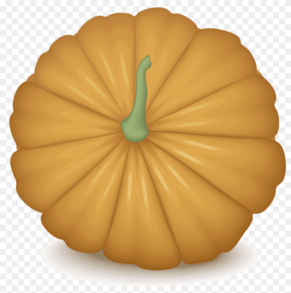 Pumpkin Clipart, Food, Plant, Produce, Vegetable Free Png