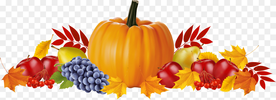 Pumpkin Clipart Autumn Transparent For Closed For Thanksgiving From Business, Text, First Aid, Paper Free Png