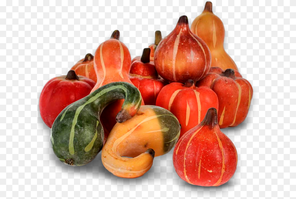 Pumpkin Fall Autumn Harvest Thanksgiving Season Calabaza, Food, Gourd, Plant, Produce Free Png Download