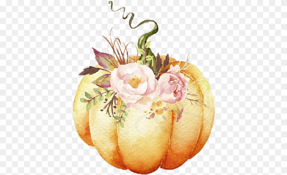 Pumpkin Flowers Floral Bouque Watercolor Pumpkin With Flowers, Food, Plant, Produce, Vegetable Free Png Download