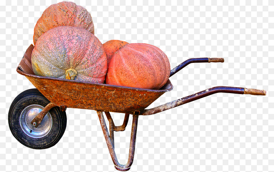 Pumpkin Giant Pumpkin Wheelbarrow Autumn, Machine, Wheel, Transportation, Vehicle Free Png