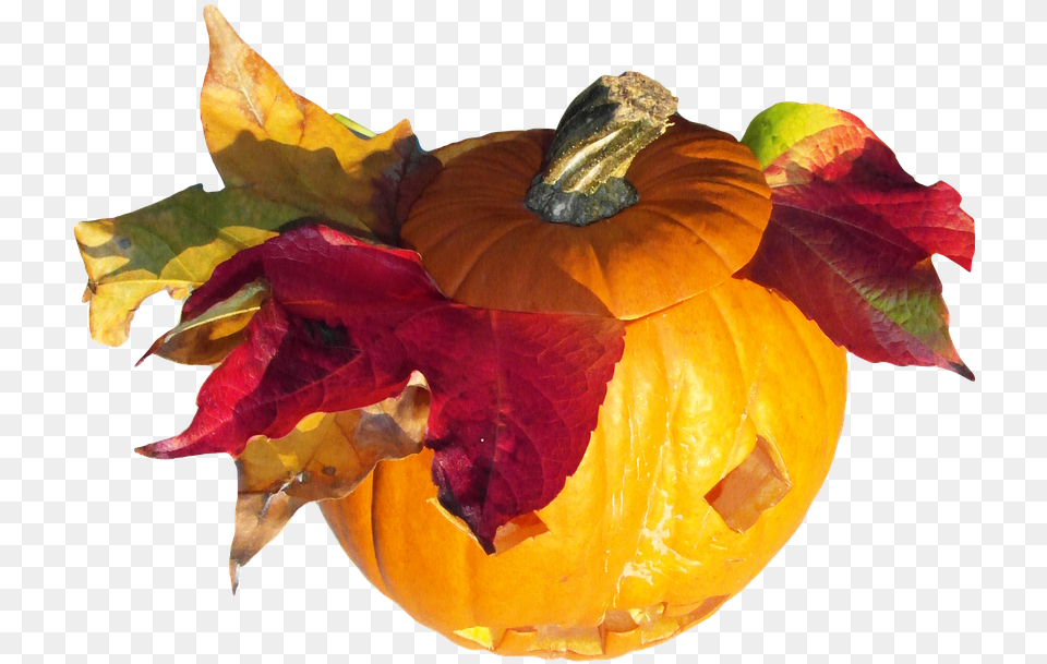 Pumpkin Gourd Harvest Thanksgiving Orange Autumn Autumn Gourds, Leaf, Plant, Food, Produce Free Png