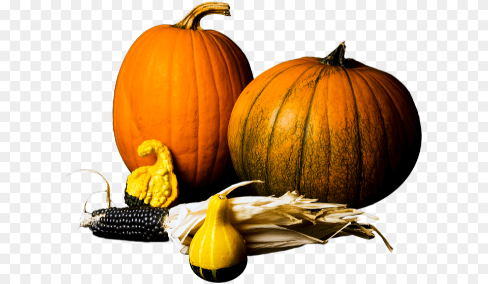 Pumpkin Gourds Stock Pumpkin, Food, Plant, Produce, Vegetable Free Transparent Png