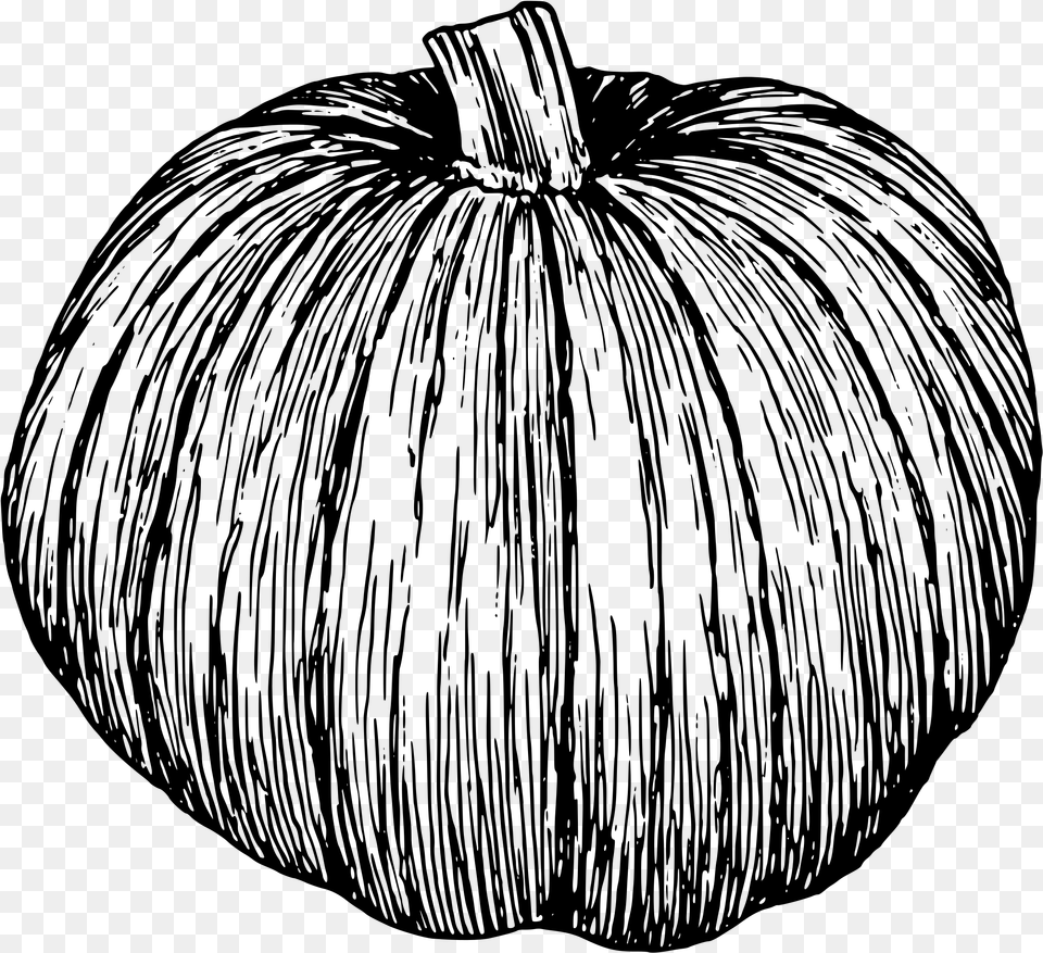 Pumpkin Illustration Black And White, Gray Png Image